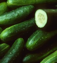 A pile of fresh cucumbers lying diagonally with drops of water with one cut open