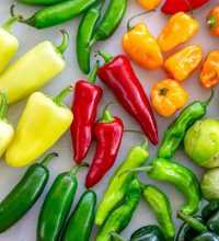 types-of-peppers-1-600x900